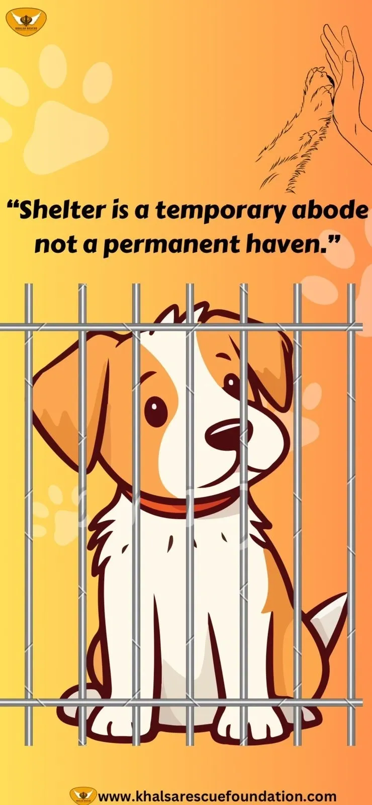 Community dogs belong to Community