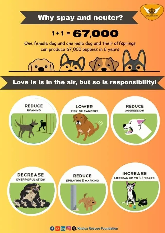 What does kindness mean to you?