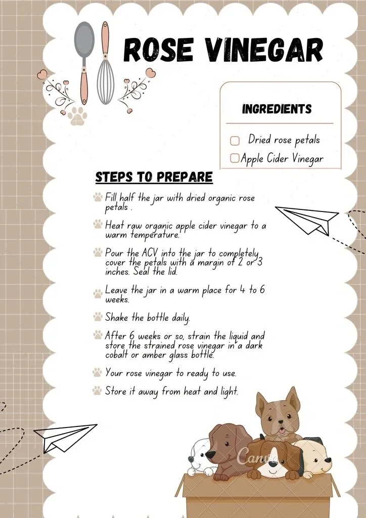 Holistic Value of Rose for your Pooch