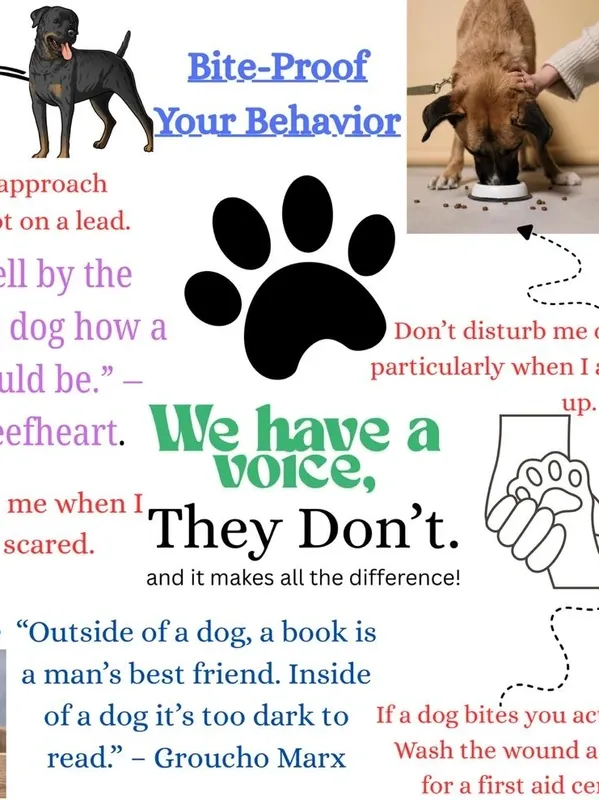 Understanding Canine Companions